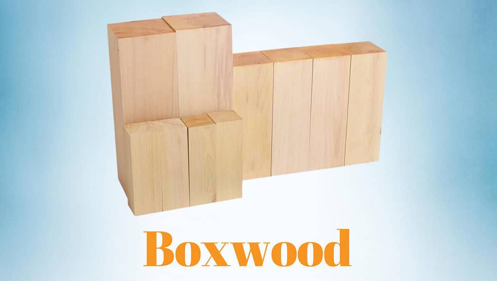 Boxwood for making Chess Pieces