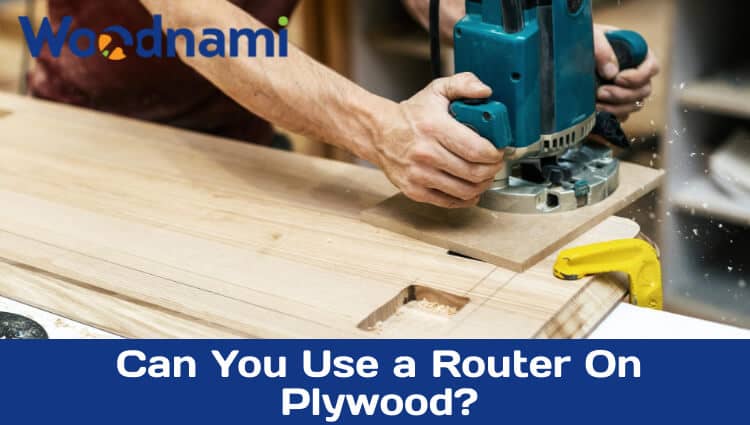 Can You Use a Router On Plywood